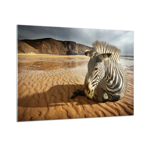 Impression sur verre - Image sur verre - Un zèbre se reposant sur la plage au coucher du soleil - 100x70cm - On va bien ensemble - Décoration murale moderne pour le salon et la chambre ARTTOR