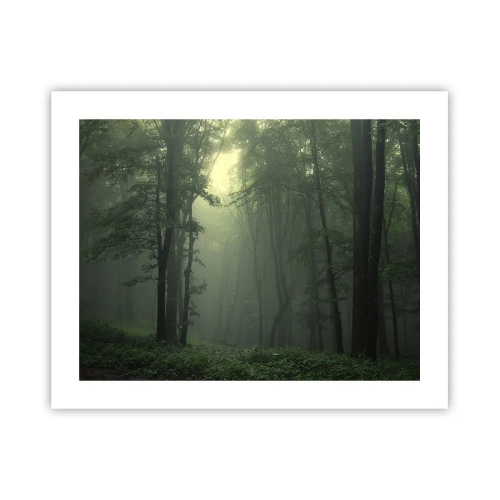 Affiche - Poster - Avant qu'il ne se réveille - 50x40 cm