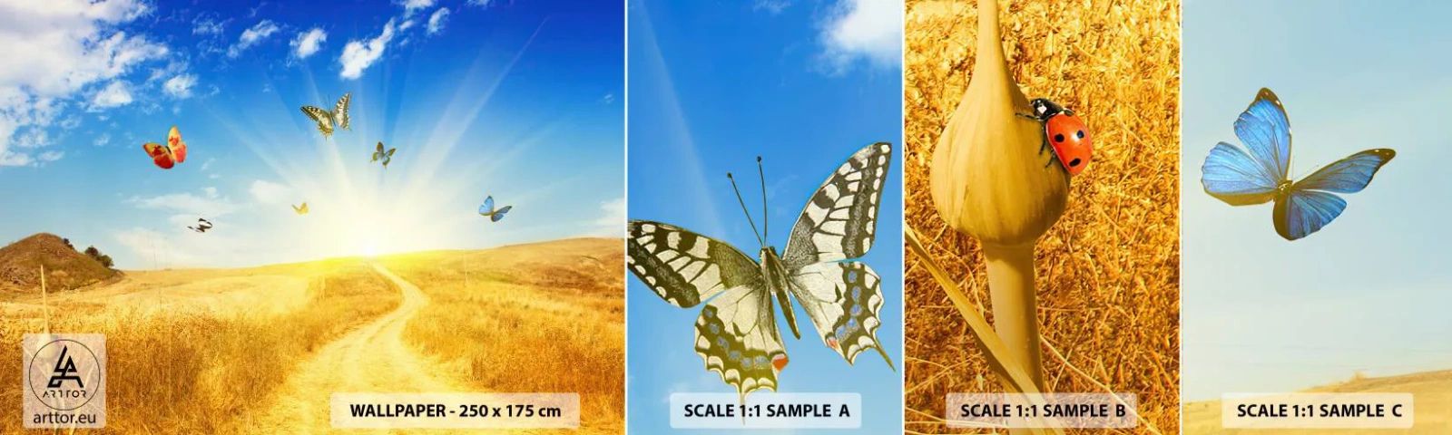 Échantillon De Papier Peint Standard Eco - Et comment ne pas aimer l'été ? - Paysage, Papillons, Nature - 100x30 cm