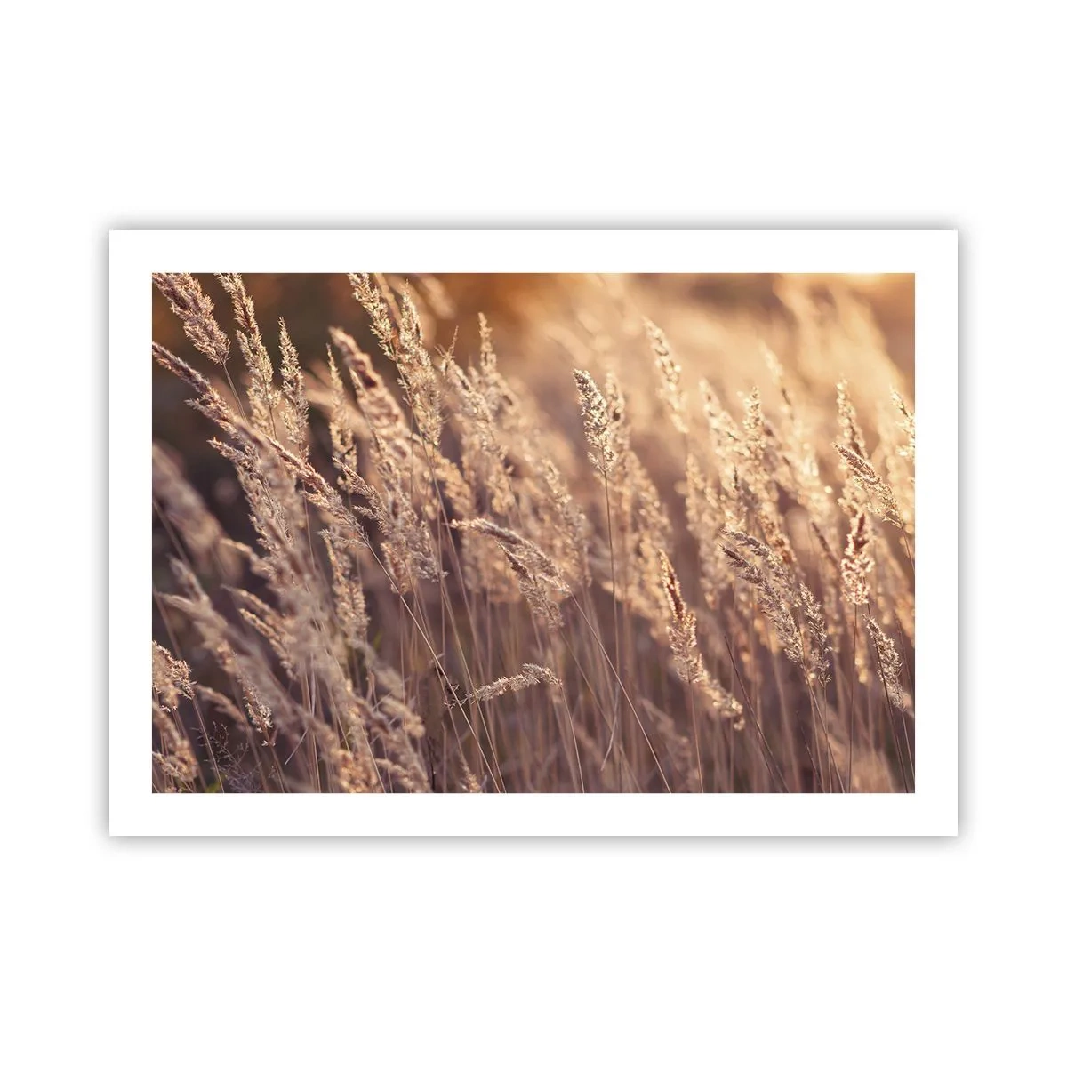 Affiche - Poster - Prêt à accueillir l'automne - 70x50 cm