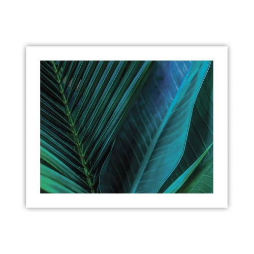 Affiche - Poster - L'anatomie du vert - 50x40 cm