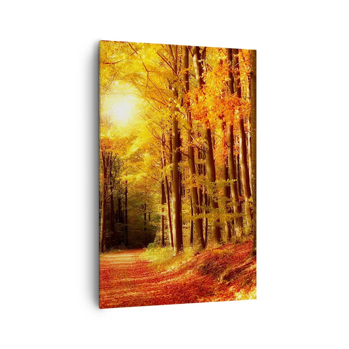 Impression sur toile - Image sur toile - Forêt d'automne avec les rayons du soleil qui brillent à travers les arbres - 80x120cm - Automne doré sur une route forestière - Décoration murale moderne pour le salon et la chambre ARTTOR