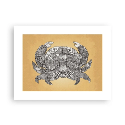 Affiche - Poster - Les contes de M. Crabe - 40x30 cm