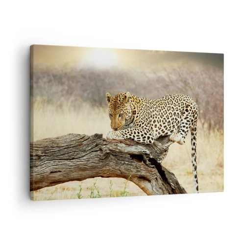 Impression sur toile - Image sur toile - Un léopard se reposant sur un tronc d'arbre dans la savane - 70x50cm - Je suis ma propre route - Décoration murale moderne pour le salon et la chambre ARTTOR