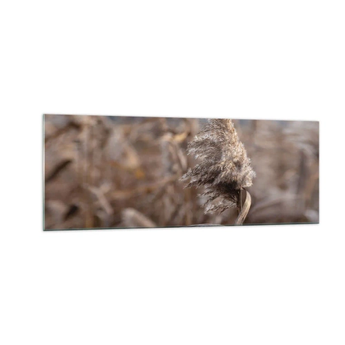Impression sur verre - Image sur verre - Graminées délicates dans des tons beiges sur fond de nature - 140x50cm - Il est temps de s'envoler avec le vent - Décoration murale moderne pour le salon et la chambre ARTTOR