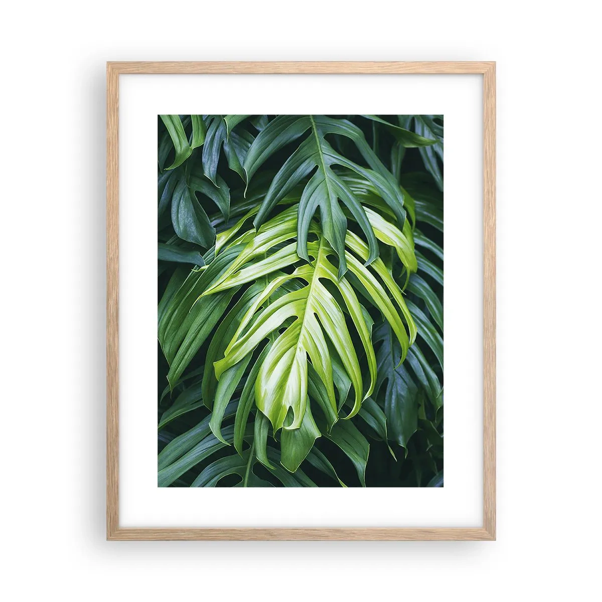 Affiche dans un chêne clair - Poster - Immergez-vous dans la fraîcheur - 40x50 cm