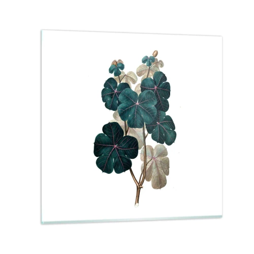 Impression sur verre - Image sur verre - De l'ancien herbier - 30x30 cm