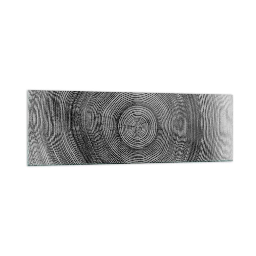 Impression sur verre - Image sur verre - Motif de cernes d'arbre noir et blanc montrant une coupe transversale du tronc - 160x50cm - Signe du temps - Décoration murale moderne pour le salon et la chambre ARTTOR