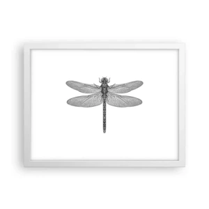 Affiche dans un cadre blanc - Poster - Précision de la nature - 40x30 cm
