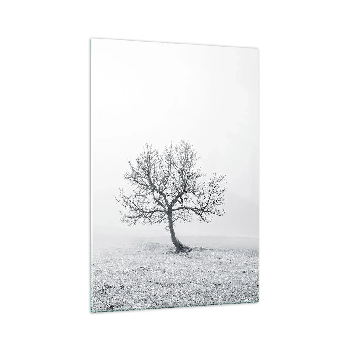 Impression sur verre - Image sur verre - Un arbre solitaire dans le brouillard hivernal dans un champ vide - 70x100cm - Contre le néant - Décoration murale moderne pour le salon et la chambre ARTTOR