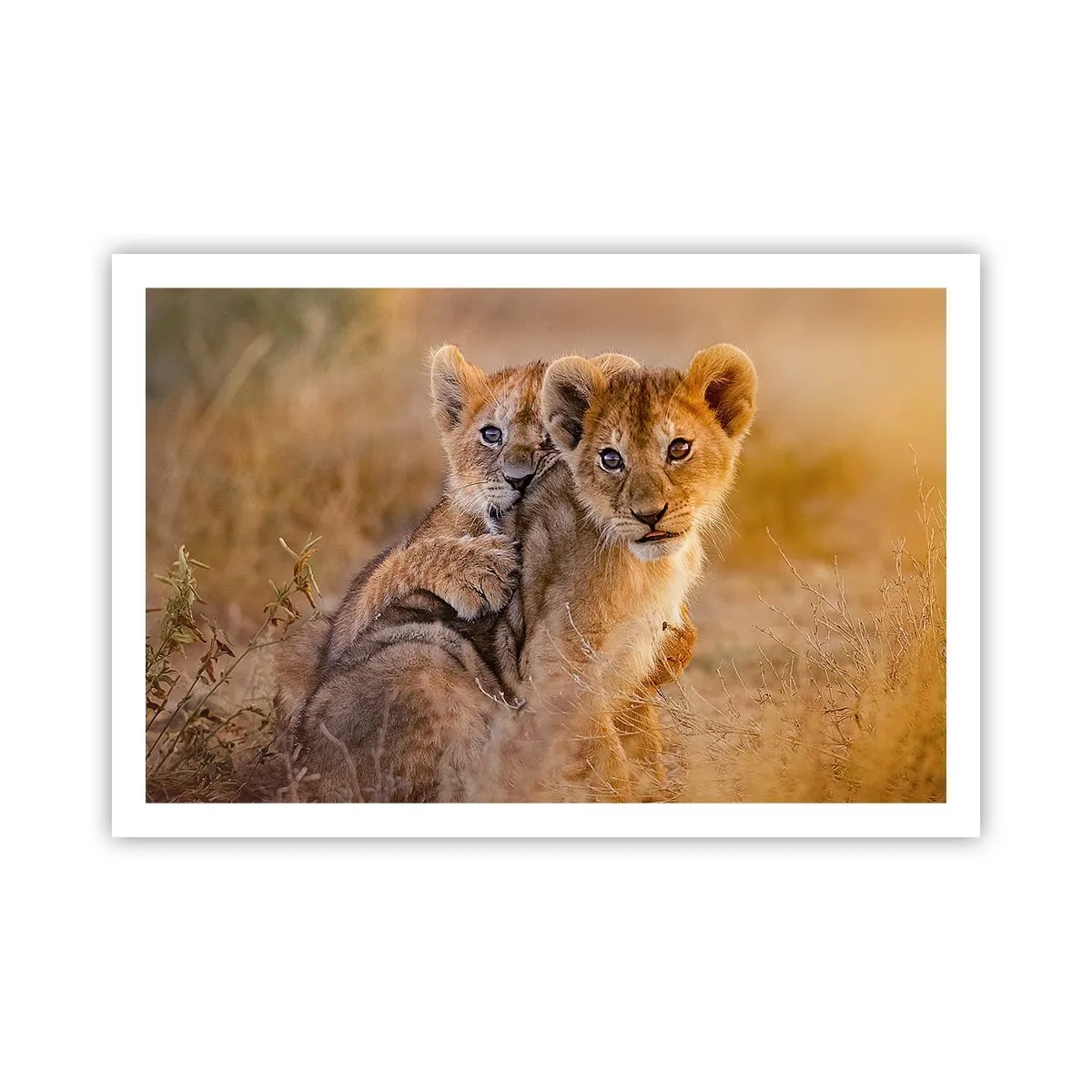 Affiche - Poster - Ne pas déranger! On s'amuse - 91x61 cm