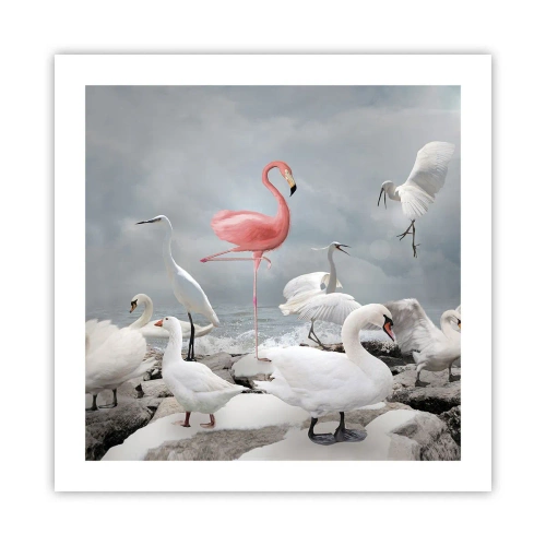Affiche - Poster - Comment suis-je arrivé là? - 50x50 cm
