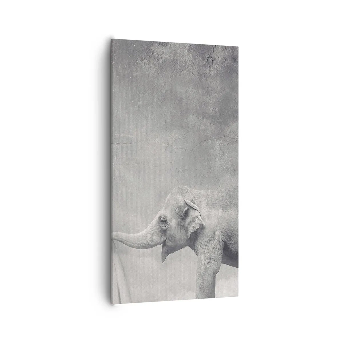 Impression sur toile - Image sur toile - Révéler le mystère - 65x120 cm