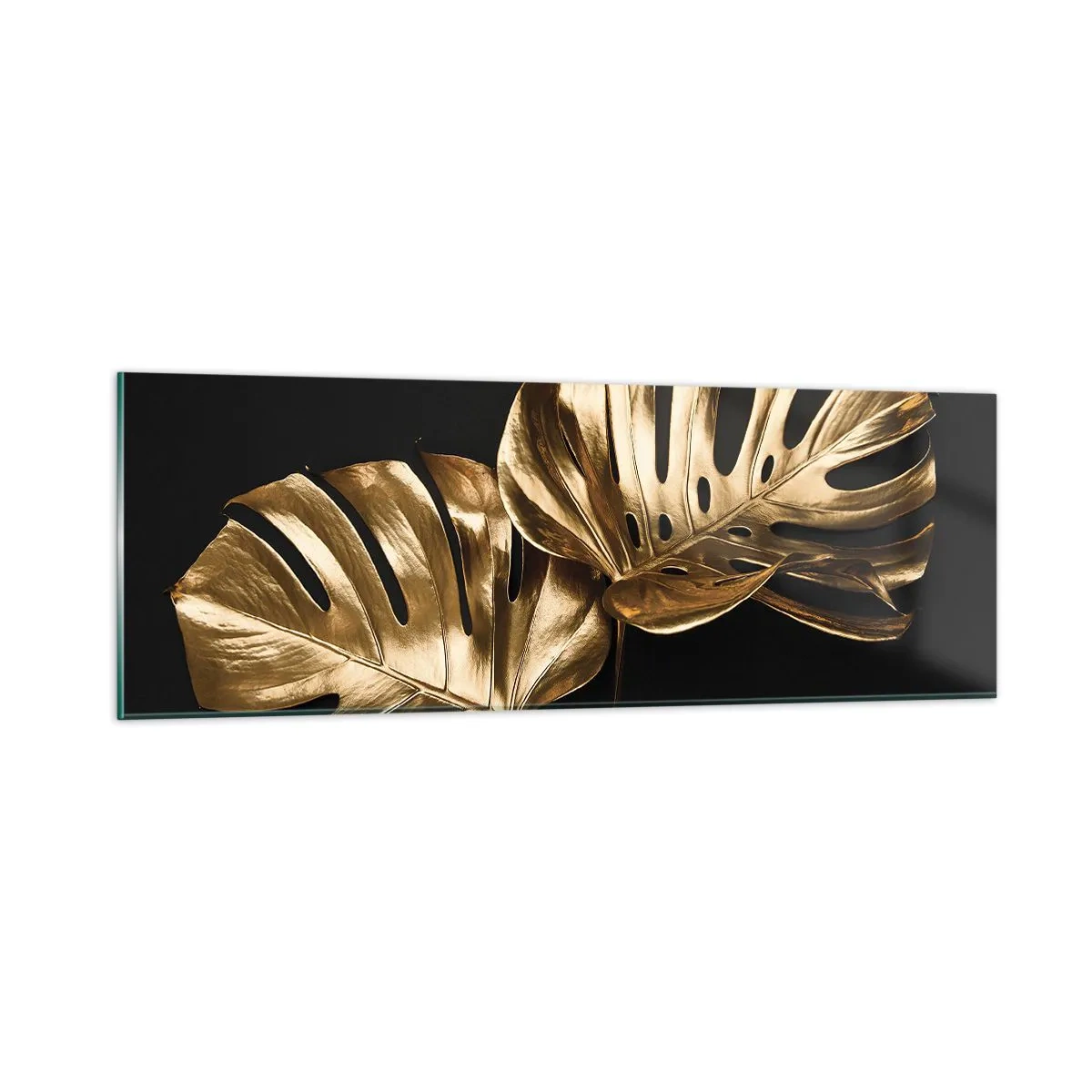 Impression sur verre - Image sur verre - Les trésors de la nature - 90x30 cm