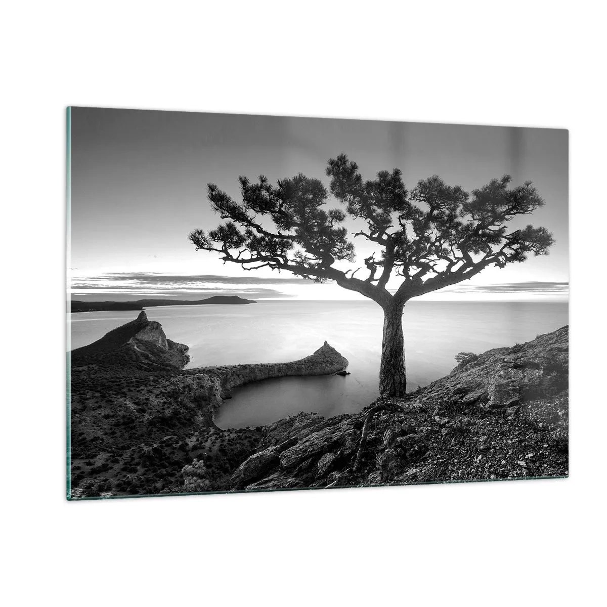 Impression sur verre - Image sur verre - Un arbre sur une falaise surplombant la baie - 120x80cm - Paix jusqu'à l'horizon - Décoration murale moderne pour le salon et la chambre ARTTOR