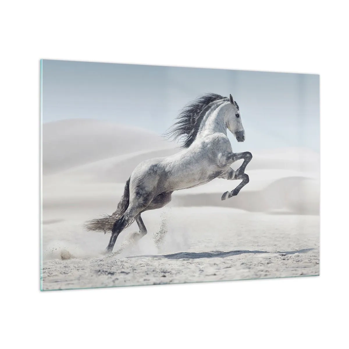 Impression sur verre - Image sur verre - Un cheval blanc bondissant sur fond de dunes du désert - 100x70cm - Prince arabe - Décoration murale moderne pour le salon et la chambre ARTTOR