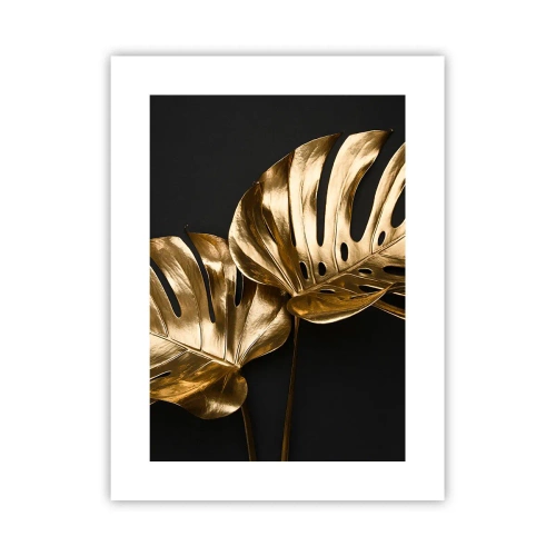 Affiche - Poster - Les trésors de la nature - 30x40 cm