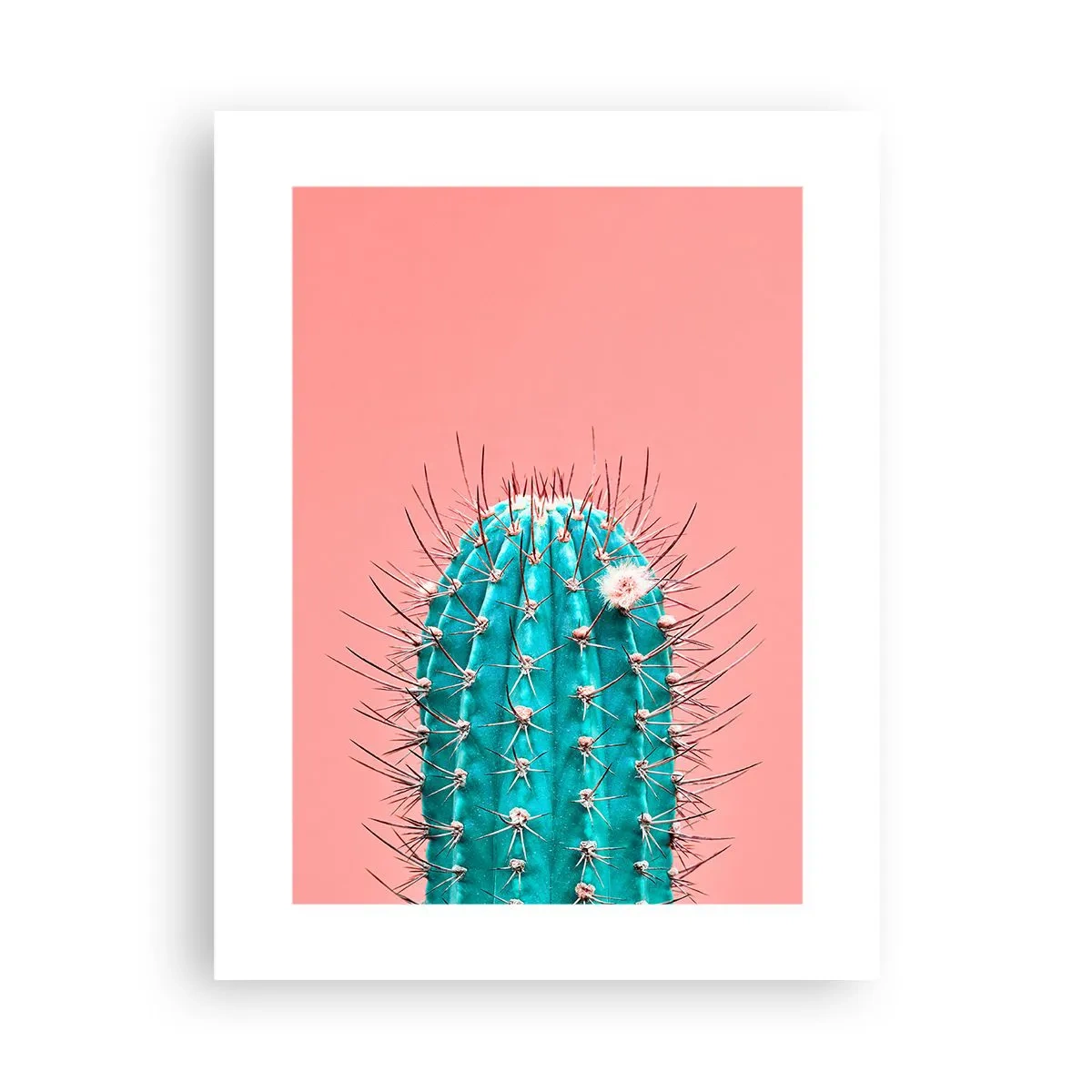 Affiche - Poster - Juste regarde - 30x40 cm