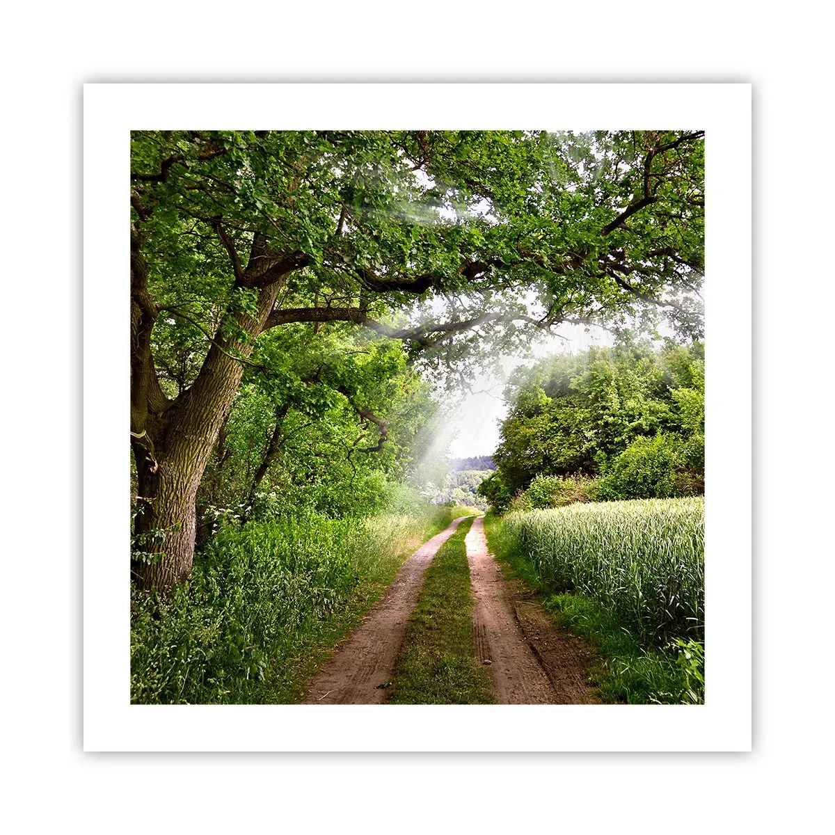 Affiche - Poster - Et in Arcadia ego - 50x50 cm