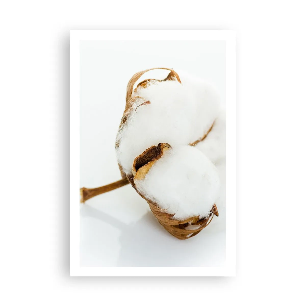 Affiche - Poster - Doux par nature - 61x91 cm