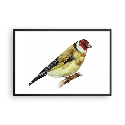 Affiche dans un cadre noir - Poster - Portrait d'oiseau - 91x61 cm