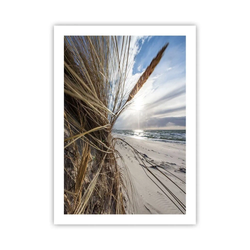 Affiche - Poster - Plage avec vue sur la mer et herbe au soleil - 50x70cm - Rencontre des éléments - Décoration murale moderne pour le salon et la chambre ARTTOR