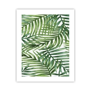 Affiche - Poster - Sous la canopée verte - 40x50 cm