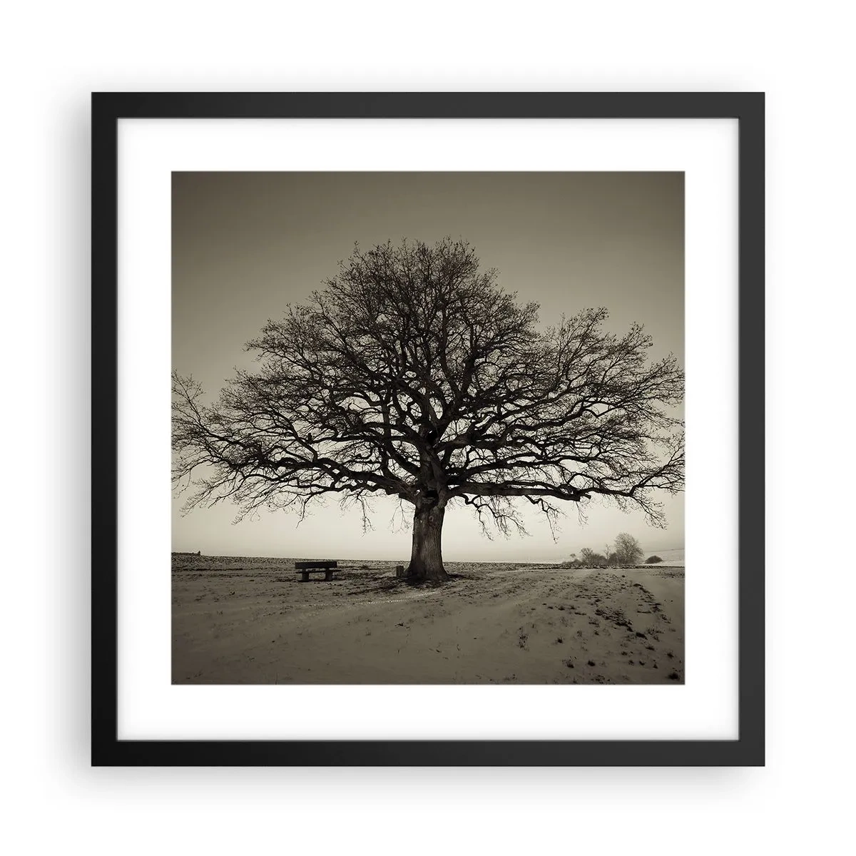 Affiche dans un cadre noir - Poster - D'ici à l'éternité - 40x40 cm