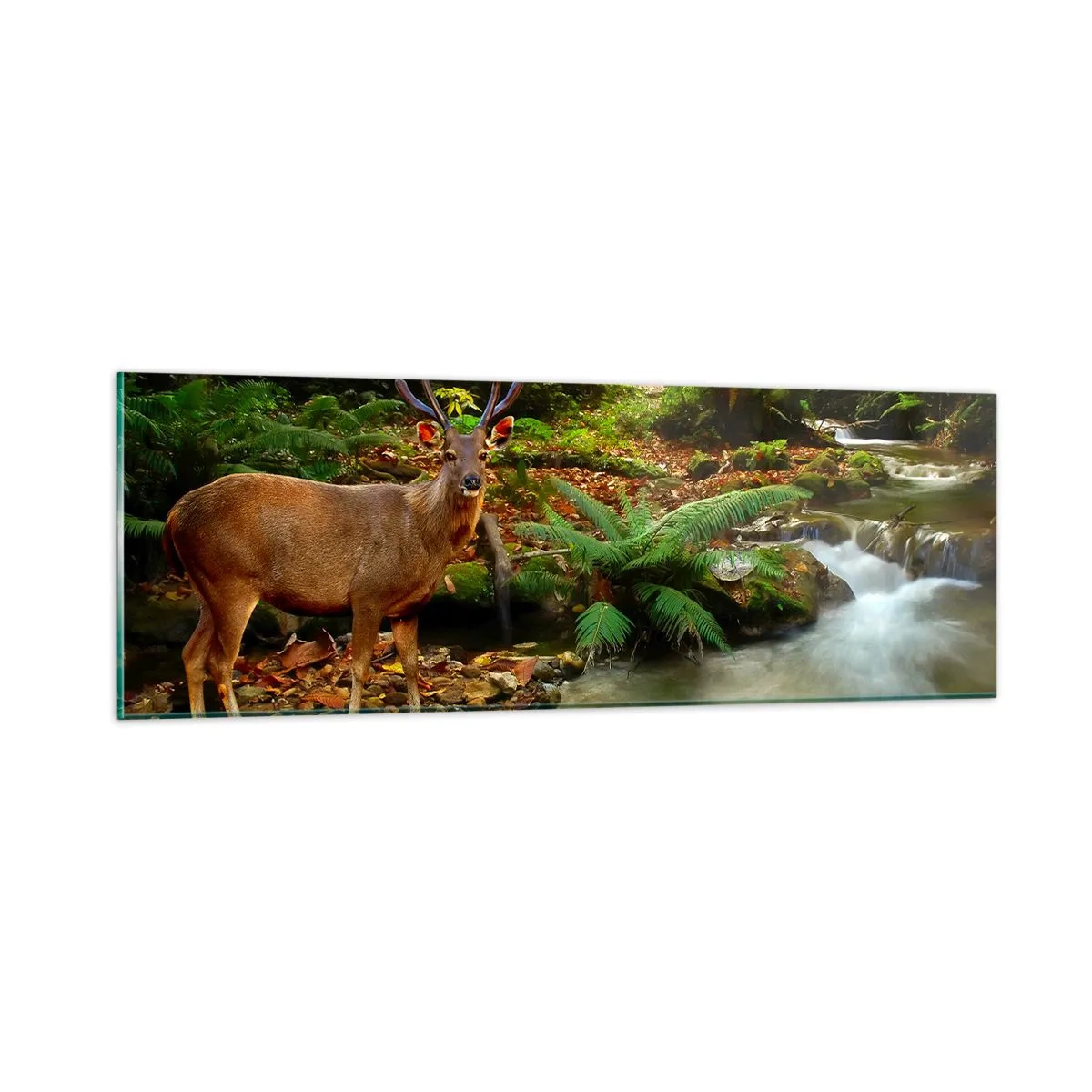 Impression sur verre - Image sur verre - Bienvenue dans mon monde - 90x30 cm