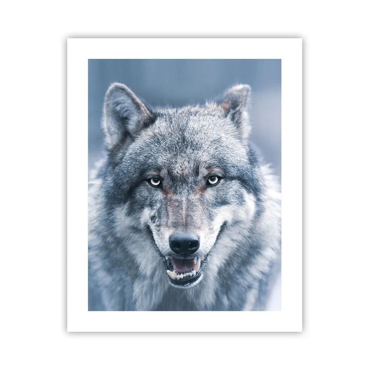 Affiche - Poster - Relèverez-vous le défi ? - 40x50 cm