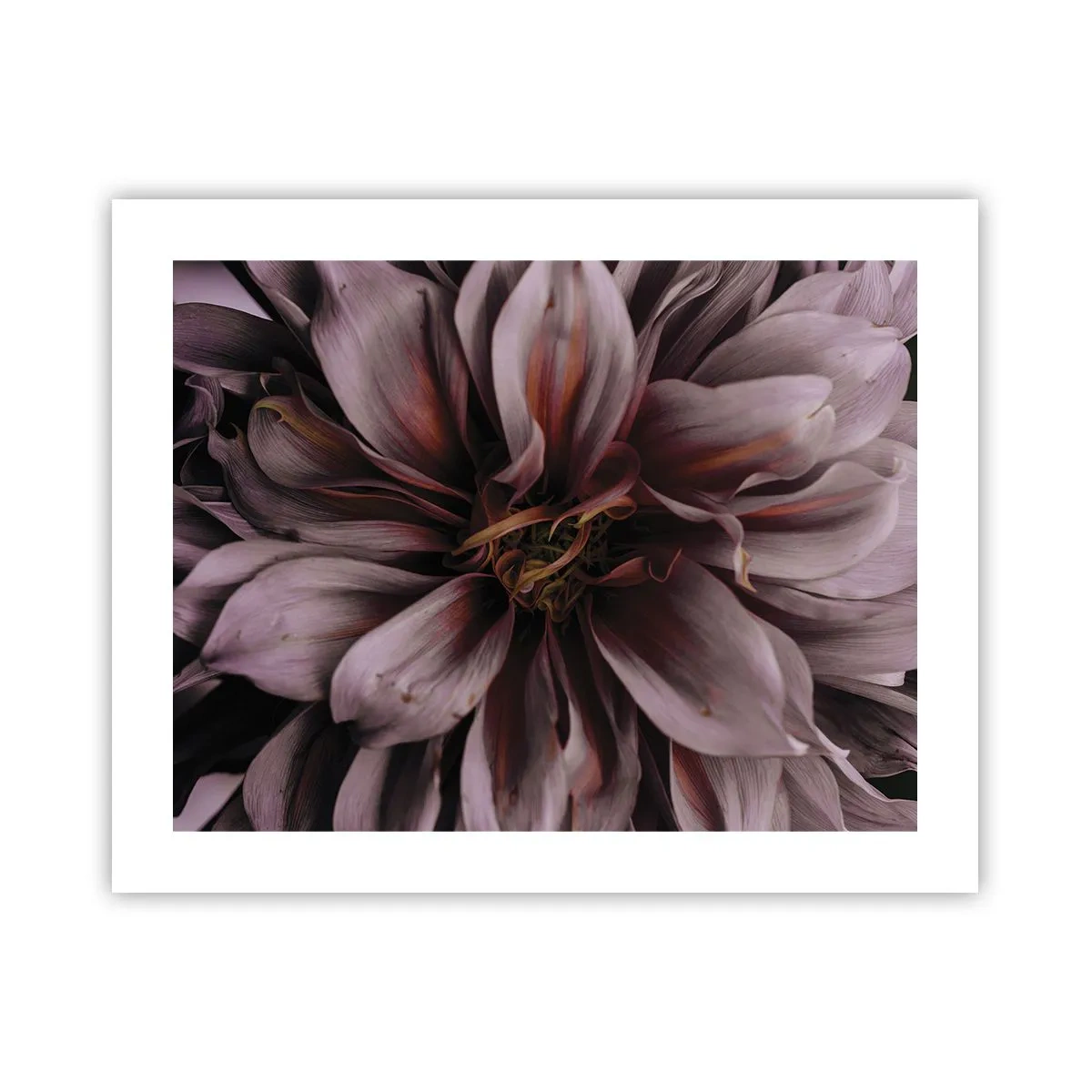 Affiche - Poster - Un coeur fleuri - 50x40 cm