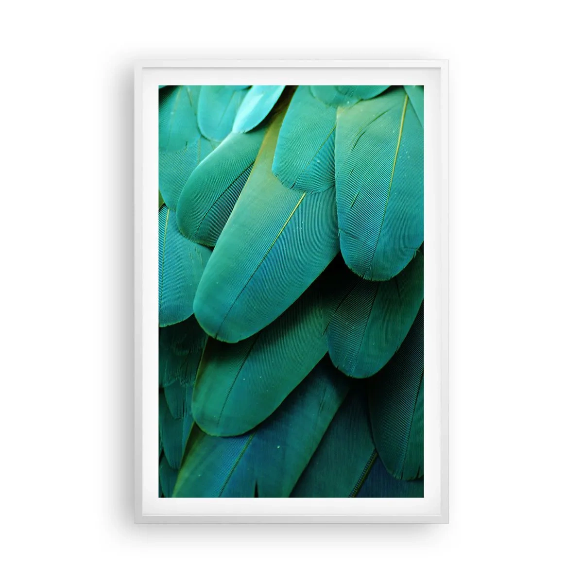 Affiche dans un cadre blanc - Poster - Perfection de la nature du perroquet - 61x91 cm