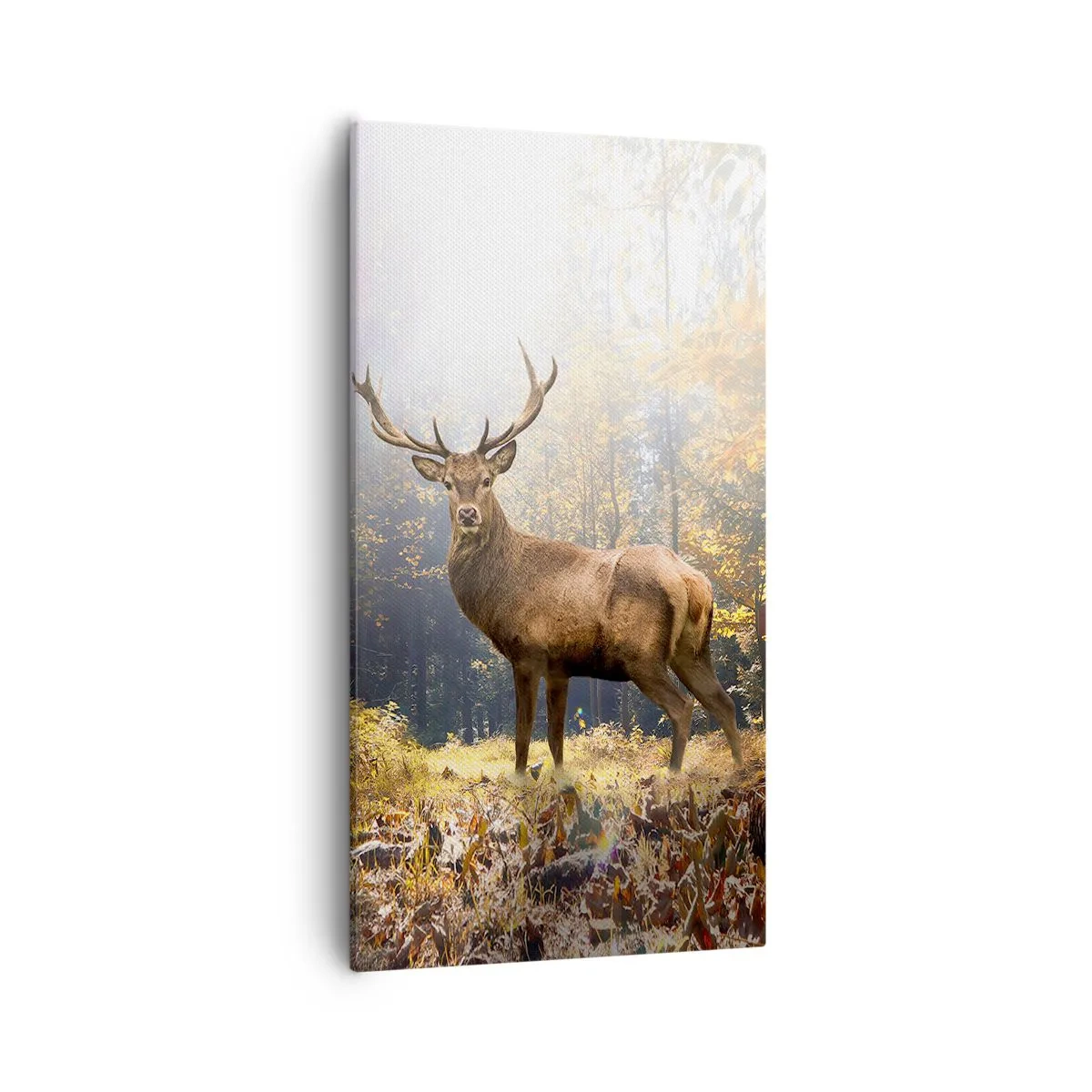 Impression sur toile - Image sur toile - Toute sa majesté - 55x100 cm