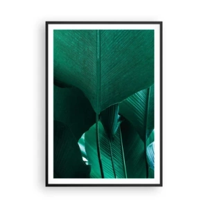 Affiche dans un cadre noir - Poster - Tourné vers la lumière - 70x100 cm