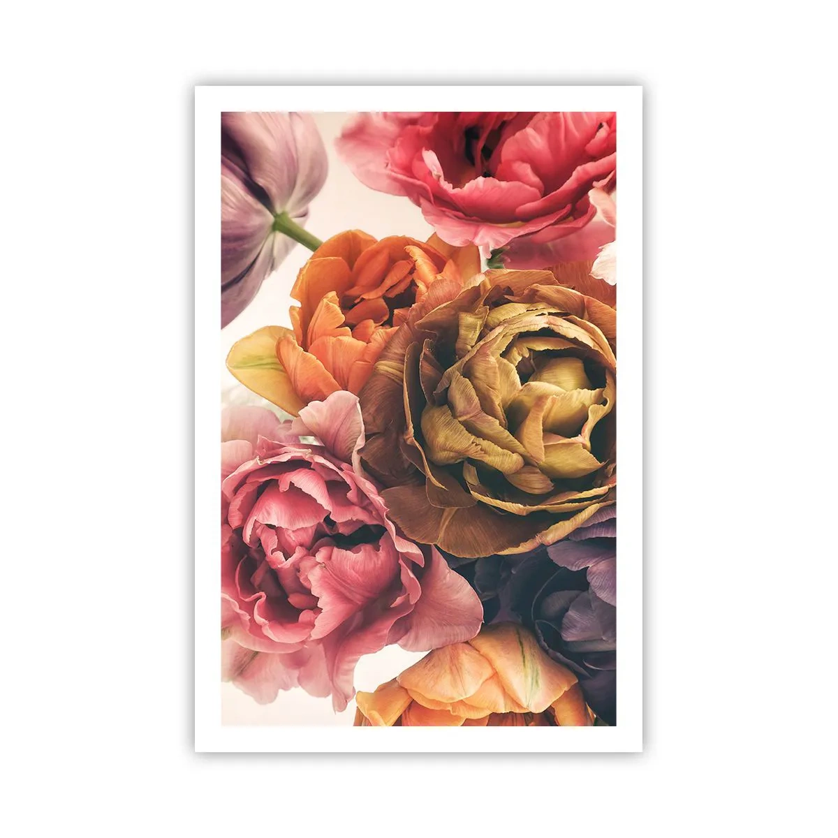 Affiche - Poster - La fête de la vie - 61x91 cm