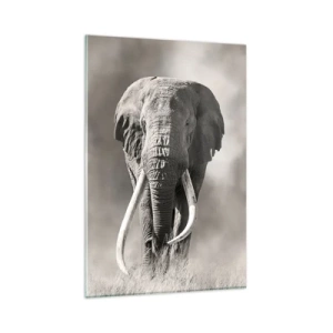 Impression sur verre - Image sur verre - Patriarche africain - 80x120 cm