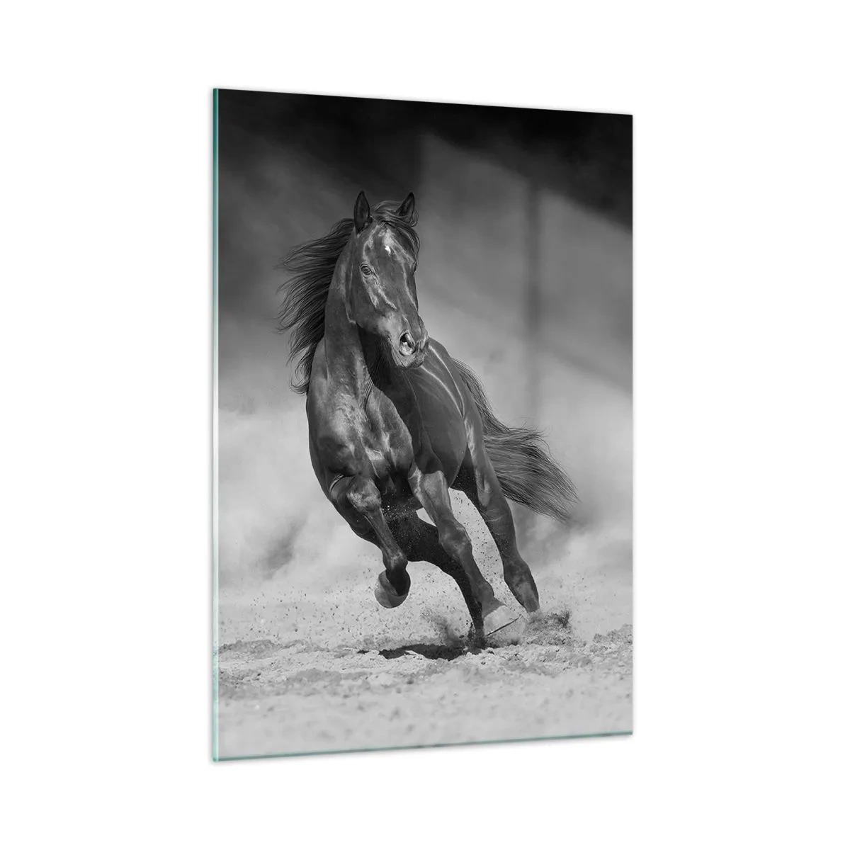 Impression sur verre - Image sur verre - Un cheval noir galopant sur le sable en noir et blanc. - 50x70cm - Digne de l'émir lui-même - Décoration murale moderne pour le salon et la chambre ARTTOR