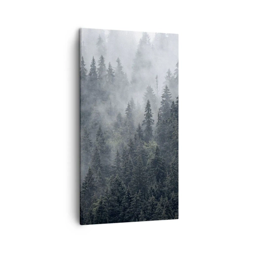 Impression sur toile - Image sur toile - Aube de la forêt - 45x80 cm