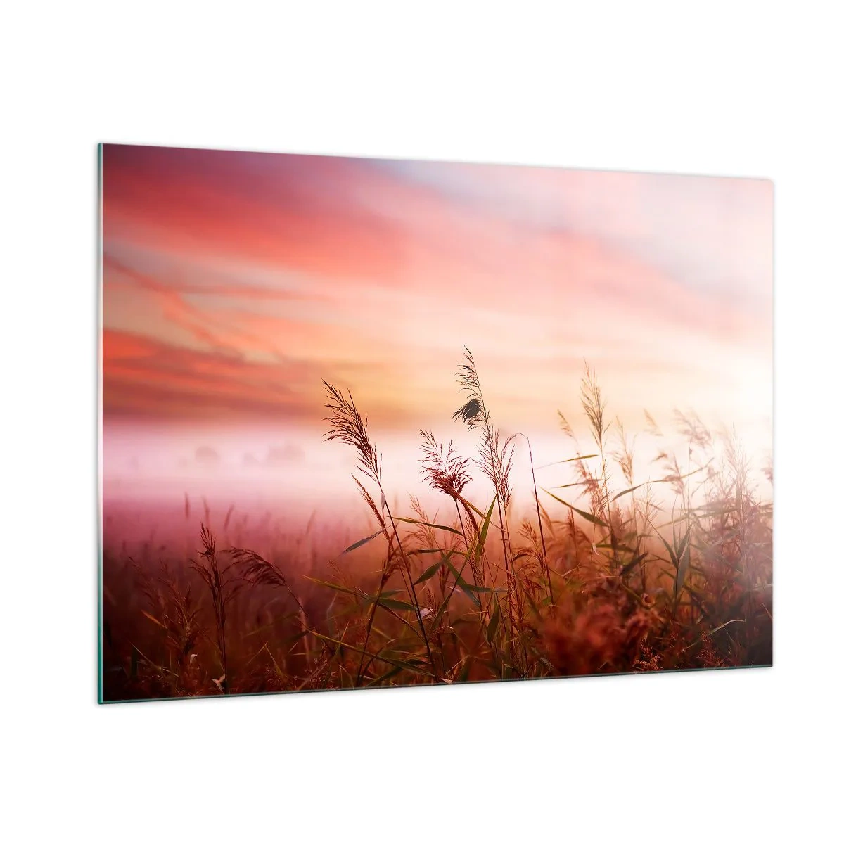Impression sur verre - Image sur verre - Une prairie dans le brouillard du matin avec un ciel pastel - 100x70cm - Cerfs-volants, pissenlits, vent - Décoration murale moderne pour le salon et la chambre ARTTOR