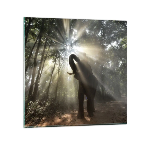 Impression sur verre - Image sur verre - Sous la bonne étoile - 70x70 cm