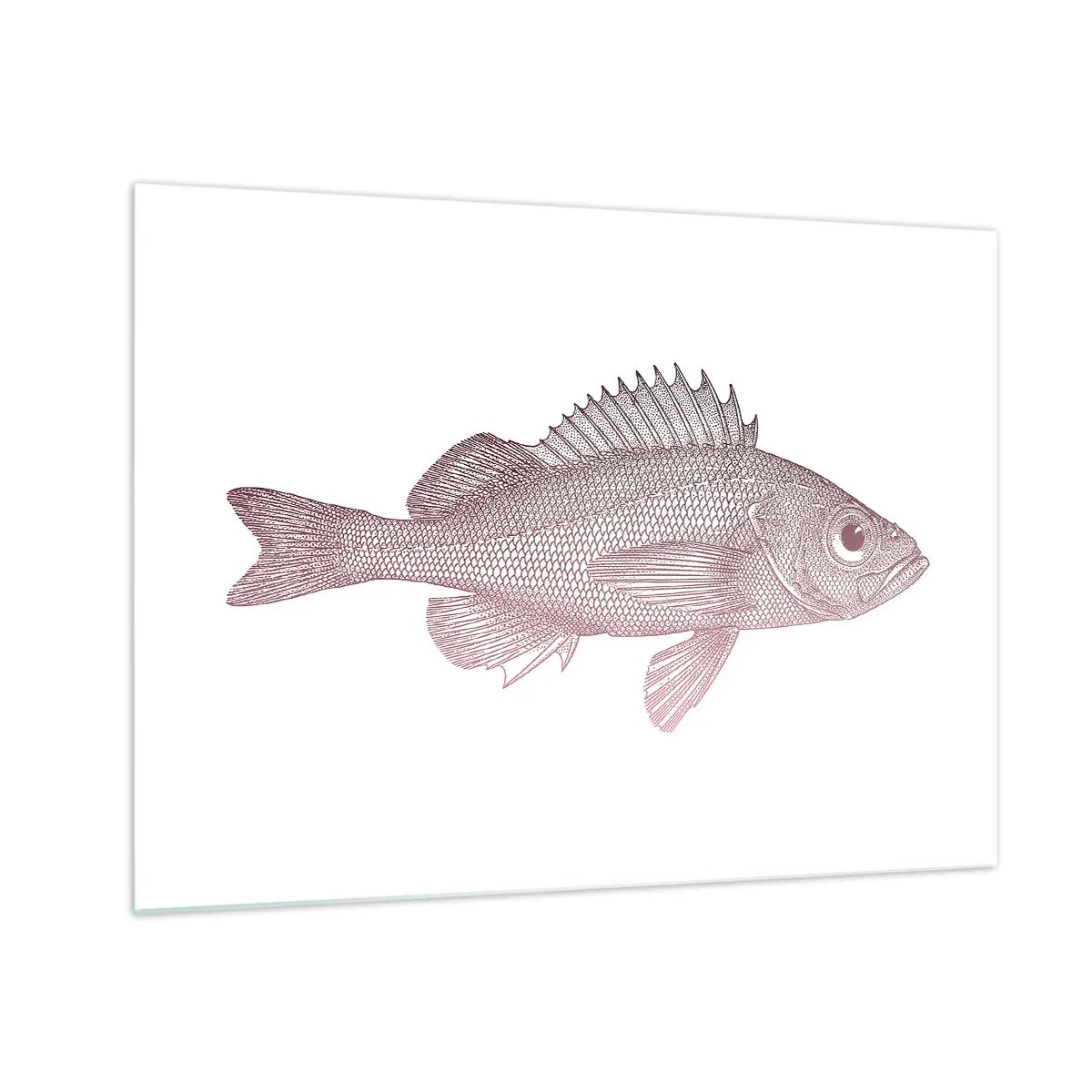 Impression sur verre - Image sur verre - Graphique d'un poisson avec un grand œil dans un style rétro sur fond blanc - 70x50cm - Poisson aux grands yeux - Décoration murale moderne pour le salon et la chambre ARTTOR