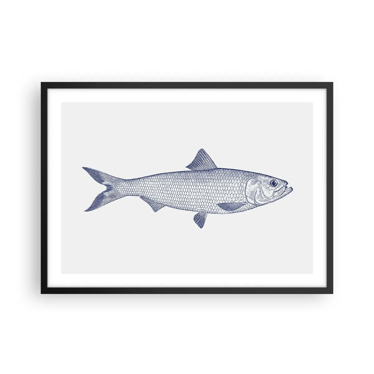 Affiche dans un cadre noir - Poster - Illustration d'un poisson dans des tons de bleu sur fond clair - 70x50cm - Salutations des mers du nord - Décoration murale moderne pour le salon et la chambre ARTTOR