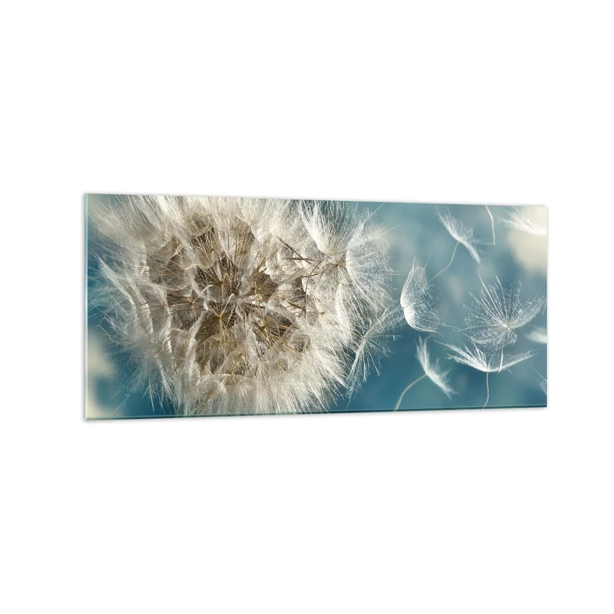 Impression sur verre - Image sur verre - Un pissenlit soufflé contre un ciel bleu - 120x50cm - souffle d'ange - Décoration murale moderne pour le salon et la chambre ARTTOR