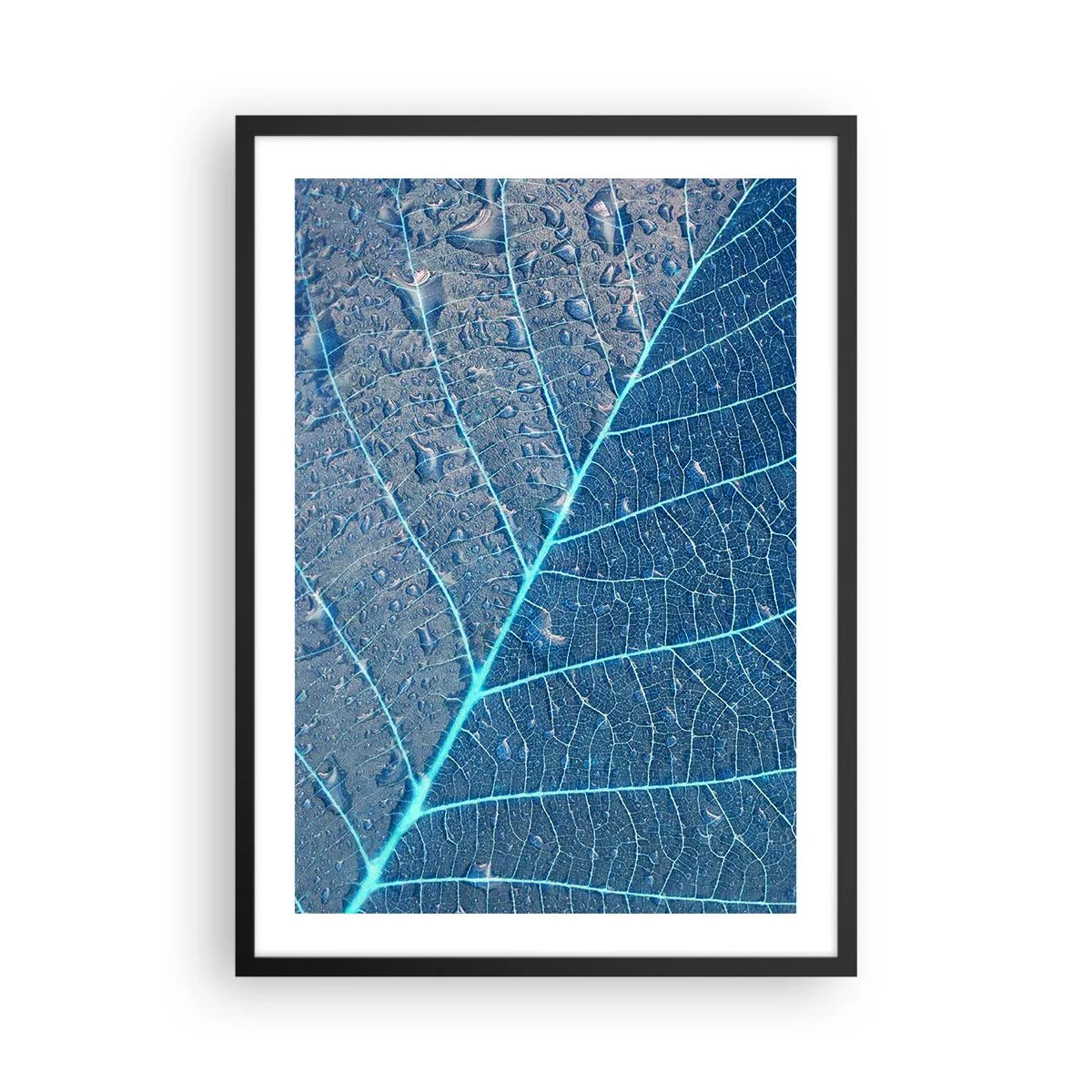 Affiche dans un cadre noir - Poster - Gros plan d'une feuille dans des tons de bleu - 50x70cm - La vie en bleu - Décoration murale moderne pour le salon et la chambre ARTTOR