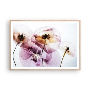 Affiche dans un chêne clair - Poster - Corps de fleurs transparente - 100x70 cm