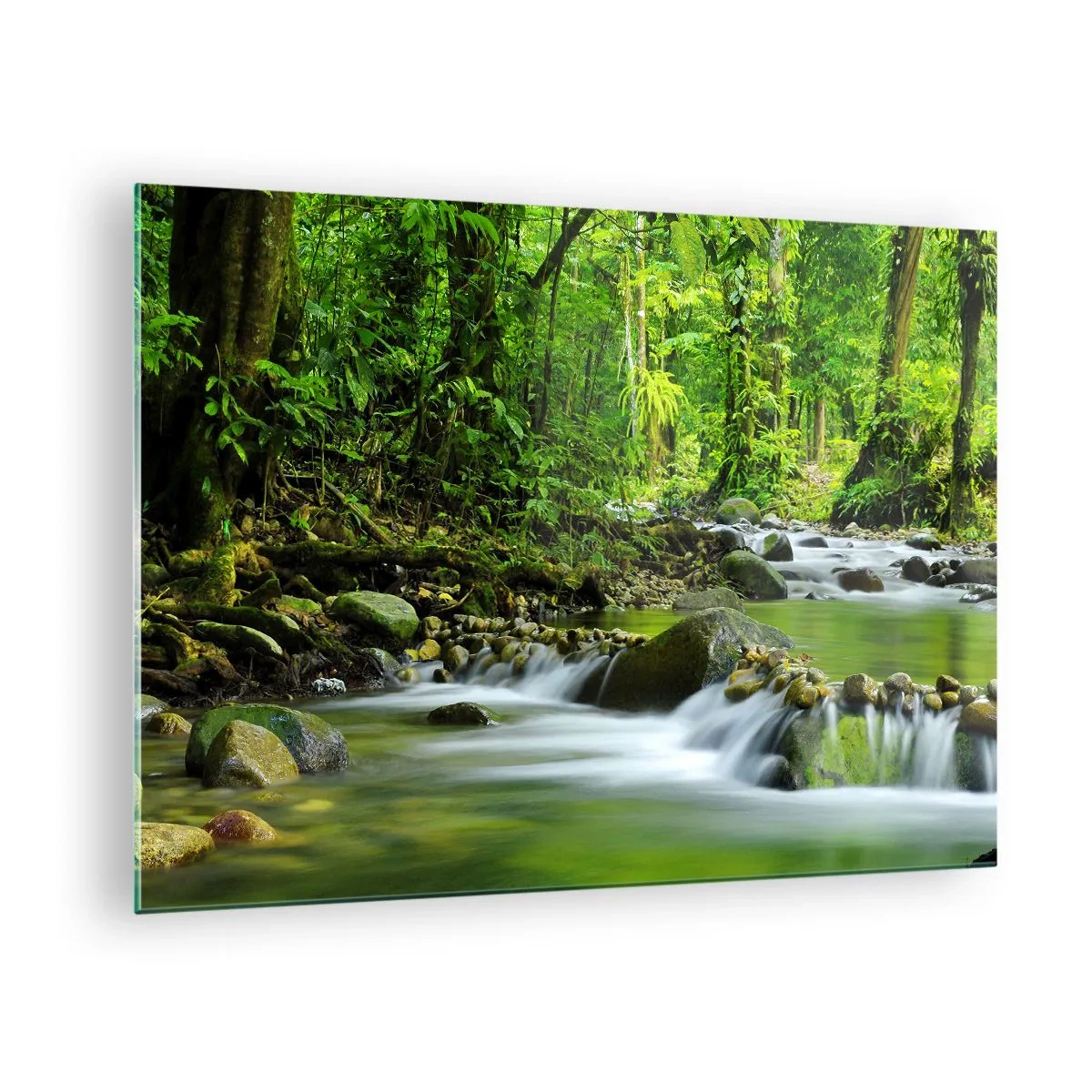 Impression sur verre - Image sur verre - Un ruisseau forestier entouré d'une végétation luxuriante - 70x50cm - Nager dans un océan de verdure - Décoration murale moderne pour le salon et la chambre ARTTOR