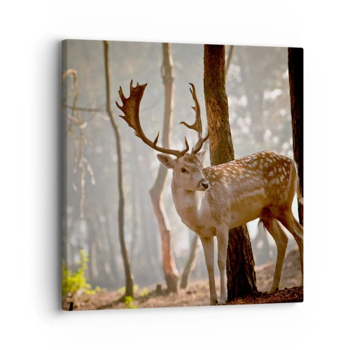 Impression sur toile - Image sur toile - La lumière de la jeunesse - 30x30 cm