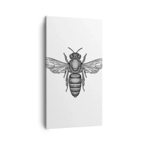 Impression sur toile - Image sur toile - Portrait d'insecte - 45x80 cm