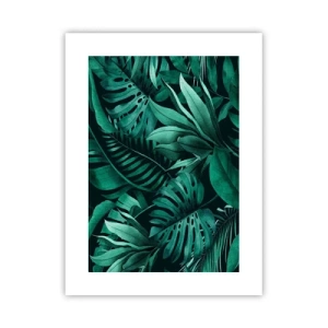 Affiche - Poster - Profondeur du vert tropical - 30x40 cm