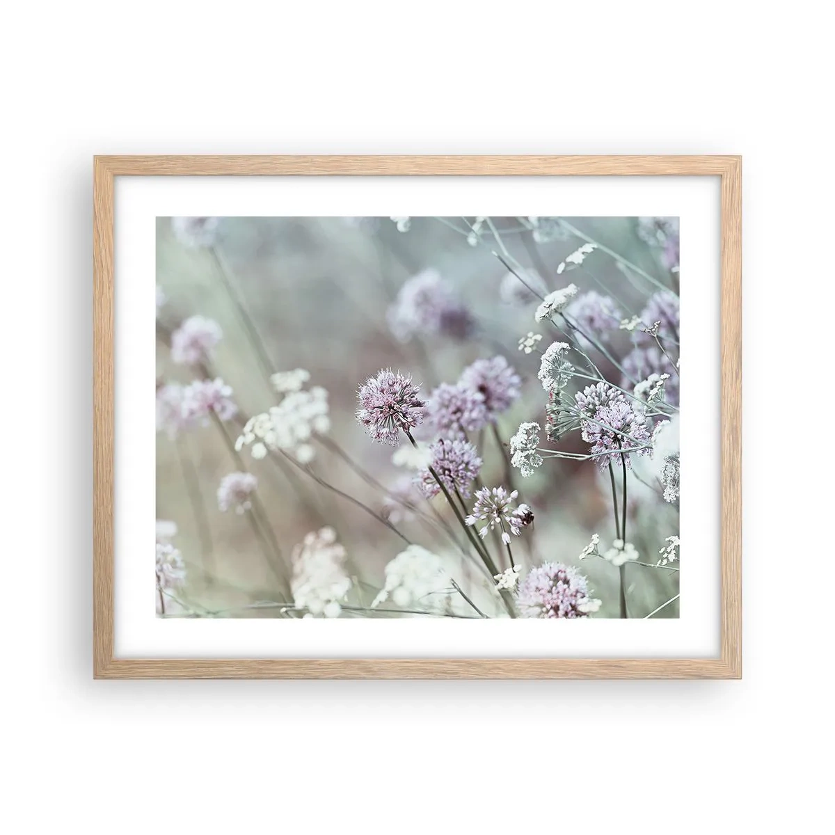 Affiche dans un chêne clair - Poster - Herbes douces en filigrane - 50x40 cm